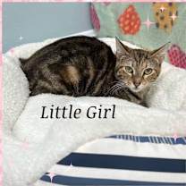 Thumbnail photo of Little Girl #2