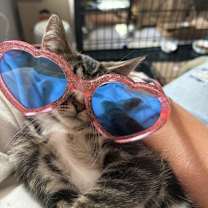 Thumbnail photo of Crush Noggin Dude kb bond w Sp #1