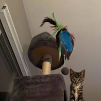 Thumbnail photo of Crush Noggin Dude kb bond w Sp #2