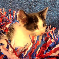 Thumbnail photo of Marty #3