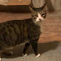 Thumbnail photo of Micah #1