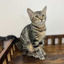 Thumbnail photo of Cheryl #1