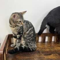 Thumbnail photo of Cheryl #2