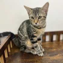 Thumbnail photo of Cheryl #3