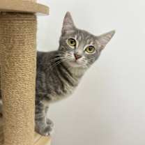 Thumbnail photo of Casper #1