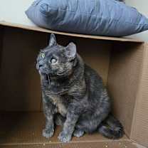 Thumbnail photo of Lucky #2