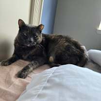 Thumbnail photo of Lucky #3