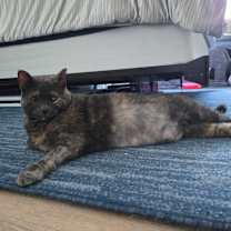 Thumbnail photo of Lucky #4