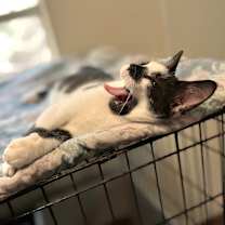 Thumbnail photo of Marble 4 #2