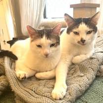 Thumbnail photo of Rusty and Poe #1