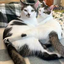 Thumbnail photo of Rusty and Poe #2