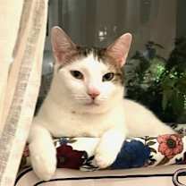 Thumbnail photo of Rusty and Poe #4