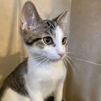 Thumbnail photo of Yukio #3