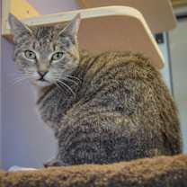 Thumbnail photo of Kelley #2