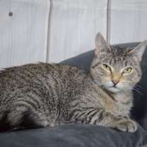 Thumbnail photo of Kelley #3