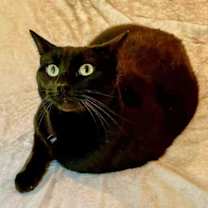 Thumbnail photo of Luca #1