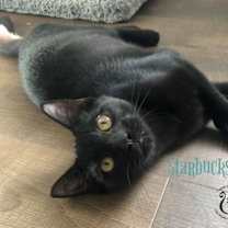 Thumbnail photo of Luca #2