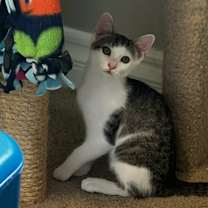 Thumbnail photo of States Group #1