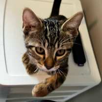 Thumbnail photo of States Group #2