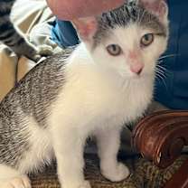 Thumbnail photo of States Group #3