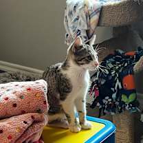 Thumbnail photo of States Group #4