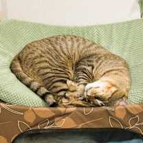 Thumbnail photo of Brooke #2