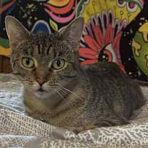 Thumbnail photo of Hope #4