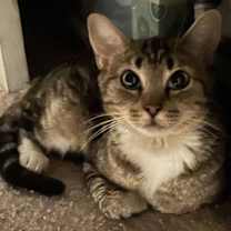 Thumbnail photo of Marnie #3