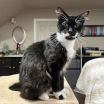 Thumbnail photo of Lexus #2