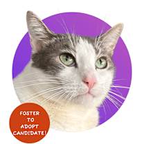 Thumbnail photo of Barley #1