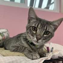 Thumbnail photo of Danny #1