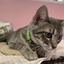 Thumbnail photo of Danny #4