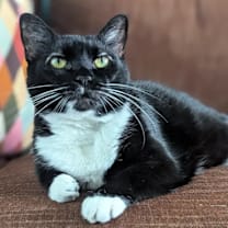 Thumbnail photo of Rachel #1