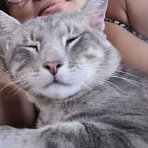 Thumbnail photo of Randolph #1