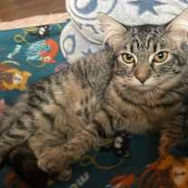 Thumbnail photo of AMY #3