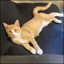 Thumbnail photo of Jocelyn #1