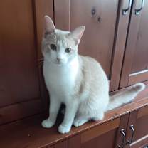 Thumbnail photo of buffy and crew #4