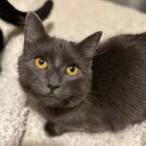 Thumbnail photo of Jenny #3