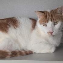 Thumbnail photo of Boy #1