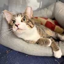 Thumbnail photo of Jaxson #2