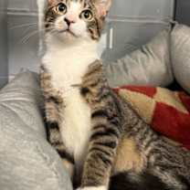 Thumbnail photo of Jaxson #3