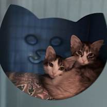 Thumbnail photo of Heidi (and Moose) #4