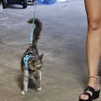 Thumbnail photo of Blossom Dearie #3