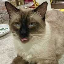 Thumbnail photo of Jimmy #3