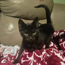 Thumbnail photo of Bates #2