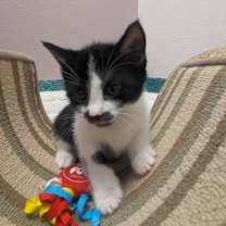 Thumbnail photo of Heather #3