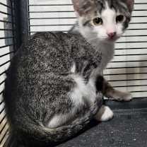 Thumbnail photo of Nick Bonded with Natalie) #1