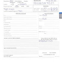 Thumbnail photo of Pippi #2