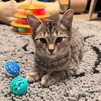 Thumbnail photo of Perry #2