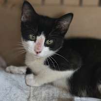 Thumbnail photo of Gretchen #2